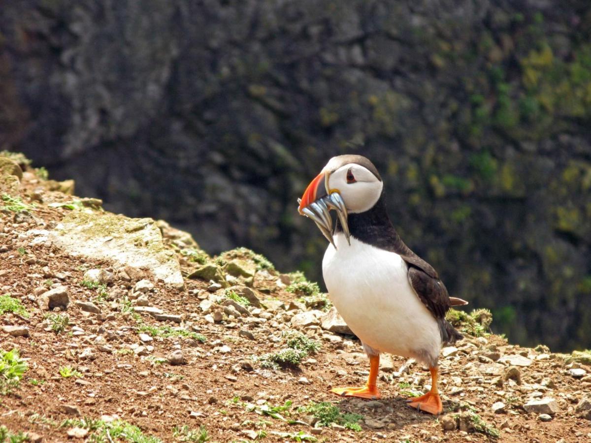 Coldstream Cottage Dale ภายนอก รูปภาพ